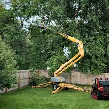 Best Tree Health Inspection  in Lansdowne, MD